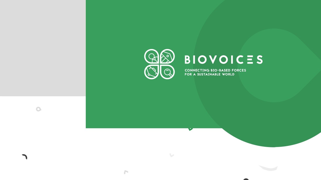 Identidade Biovoices - LOBA.cx